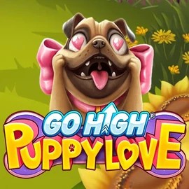 Go High Puppy Love casino game by RubyPlay – featured logo at Yoyo Casino