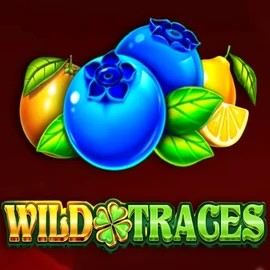 Wild Traces game by Amusnet Interactive – logo hosted on Yoyo Casino